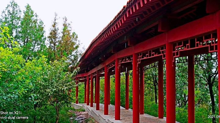 好山|山上的生活｜秋雨登高，好山好景看不尽