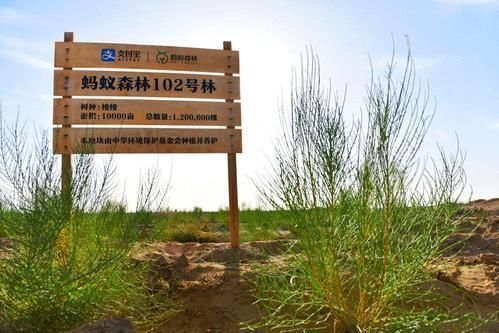 滋味|阿里巴巴“晒出”一张照片,让用户心里不是滋味我们错怪马云了