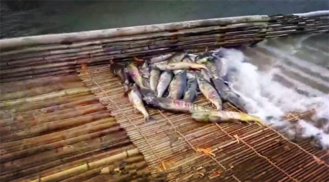 鱼梁|非常舒服的捕鱼方式，已有3千多年的历史，却还是非常好用！