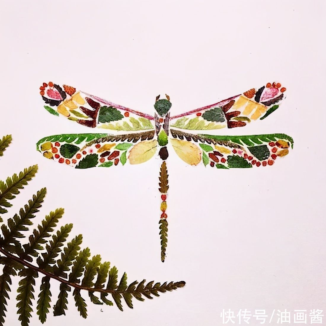 艺术作品&她画画的材料是花瓣，工具是把刀，直接用刀刻出画