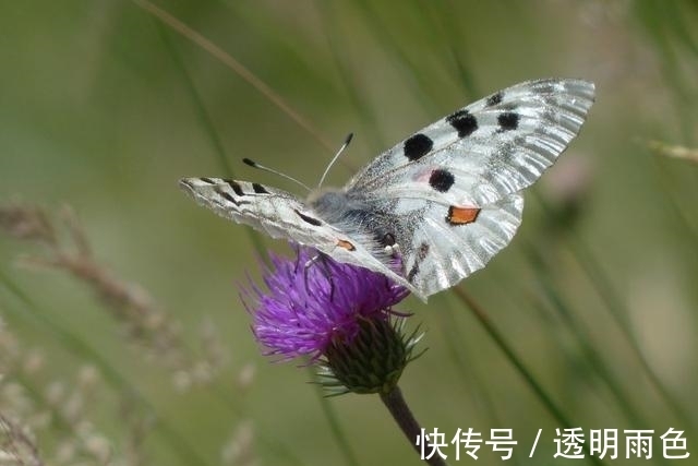 正财|下周，正财横财齐旺，接住好运，福气深厚