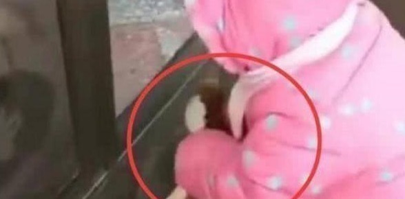 小鹿|4岁女儿被送到农村奶奶家,活捉大鹅太彪悍,小公主秒变“村霸”