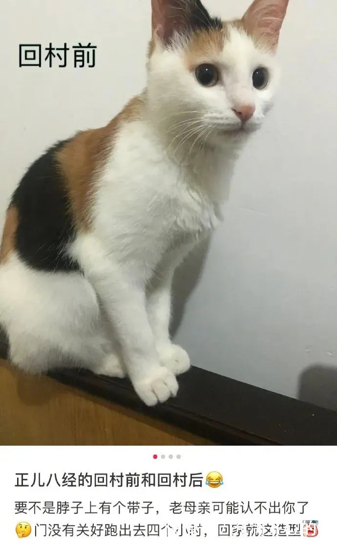 |今日段子:离职的一百种原因之一!竟然是因为大便!