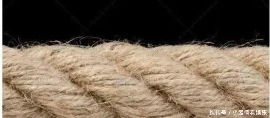 古代人|古代人上完厕所用什么?法国人用绳,英国人用鱼片,日本人无语