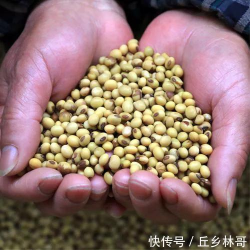 豆腐在家就能做,不用石膏不用醋,做法简单又好吃,跟买的一样