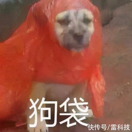 fbi|曾经保护全球电脑的杀软之父，今天自杀了