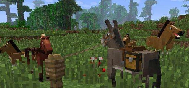 选择|我的世界:可以驯服动物有哪些?它们当中有强有弱,如何选择?