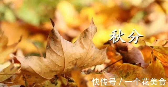 秋天|秋天进补,鸡鸭鹅都不如它,1元1斤,增强抵抗力,比保健品强多了!