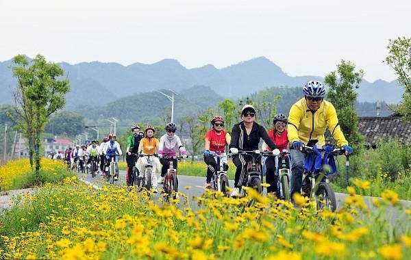 初夏时节一组图看全国各地百花灿烂 粉紫色