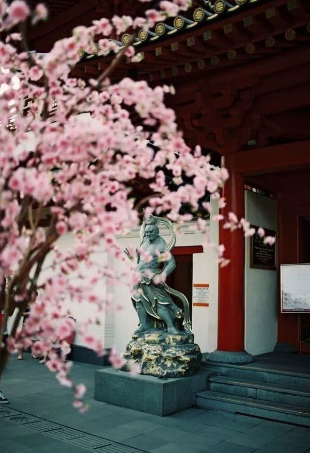 文学|藏在诗词里的文学典故，美到心醉