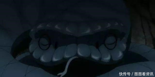 青蛇|火影博人传青蛇见到佐良娜毕恭毕敬,当蛤蟆吉见到博人呢