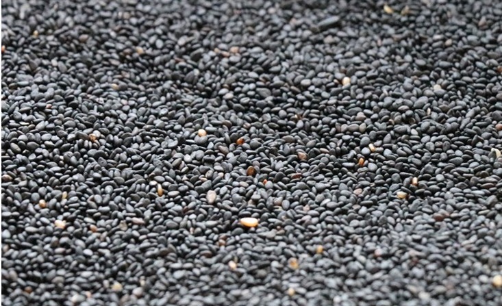 奶奶常吃黑芝麻，教你1个家常做法，比芝麻丸简单，头发黑精神好