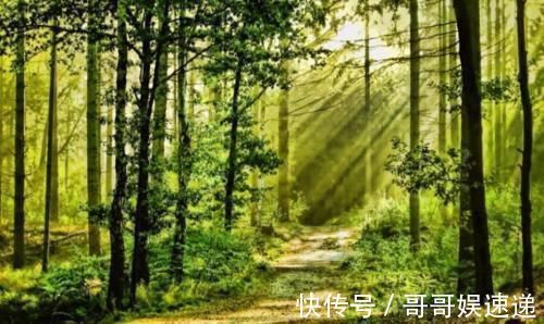 长寿|研究了87位百岁老人,“长寿之乡”有6个关键点