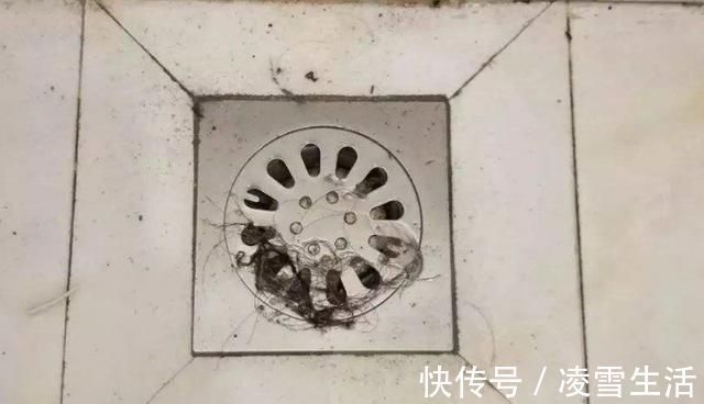 卫生间下水道里倒一碗,再臭再脏全消失,还没小飞虫,简单有效