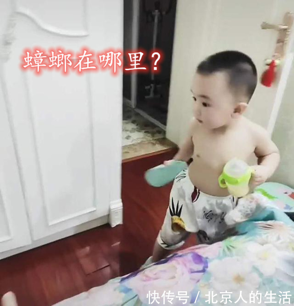 萌娃|妈妈遇蟑螂,萌娃一手奶瓶一手拖鞋来“救驾”,网友骗我生儿子