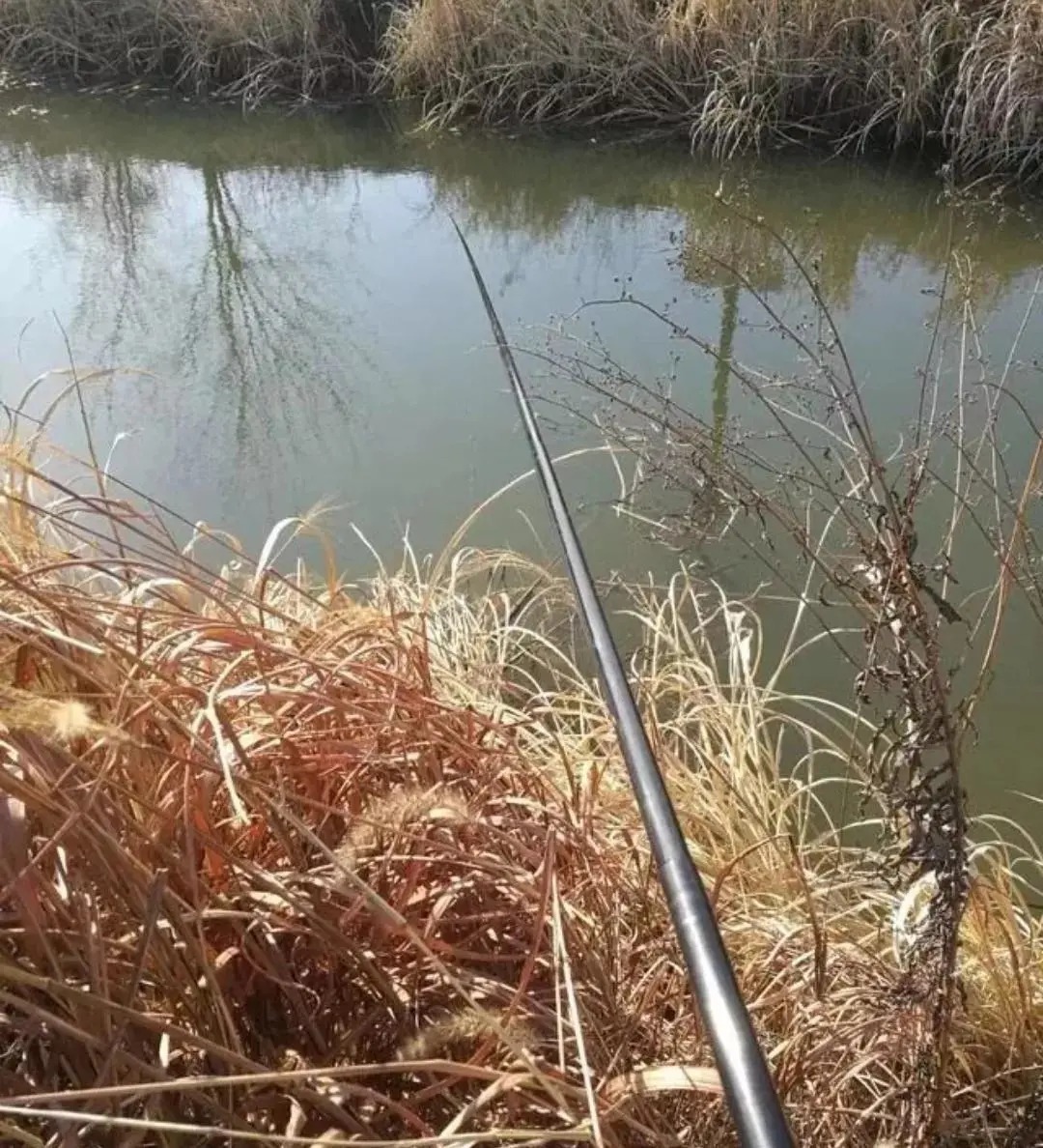 冬钓鲫鱼的“三大注意”，能做到就能保证基本的鱼获