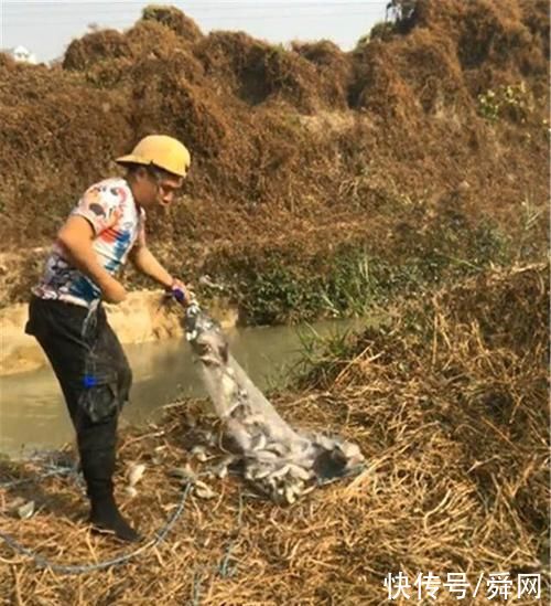  小伙|千奇百怪，乡下小伙逮鱼跳在半空中撒网，将渔网拉到岸上时，乐开了花