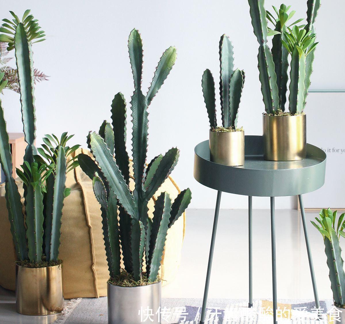 10大健康花,建议养一盆,不但能吸废气制氧气,还好养贵气