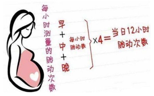 nt|吐血整理最全孕期知识！孕早期+孕中期+孕晚期，秒杀朋友圈不靠谱内容