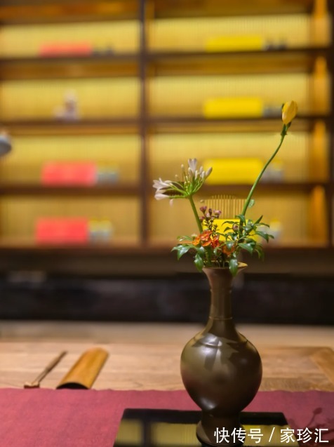 花信風&一杯一盞品年芳,一岁一斛渡良辰。