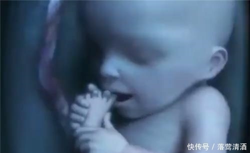 肚子|胎儿每天在妈妈肚子里干些啥看完这5张图,心都暖化了