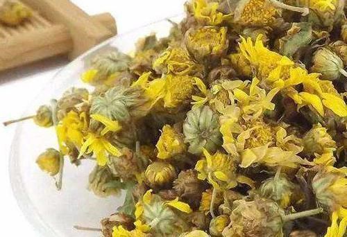 野菊花的4个好处,多种小毛病迎刃而解,连医生都称赞!