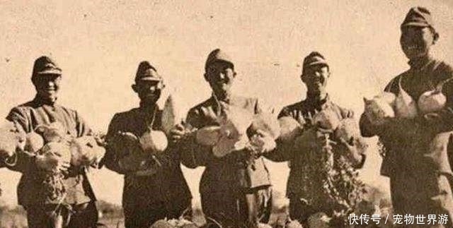 日本|抗日期间,日本兵为什么喜欢塞糖给小孩子吃?