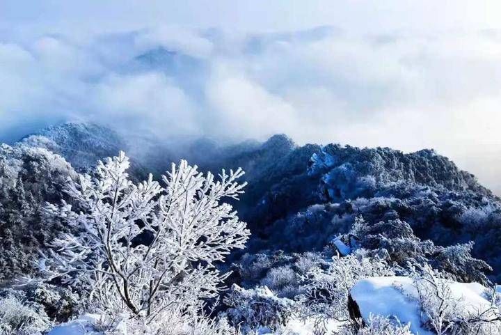 今日头条|青未了｜飘雪