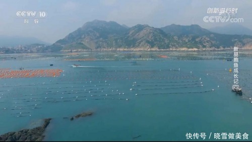 盛宴|溏心皇金鲍:二十分钟享受一场绝顶食材的味蕾盛宴!