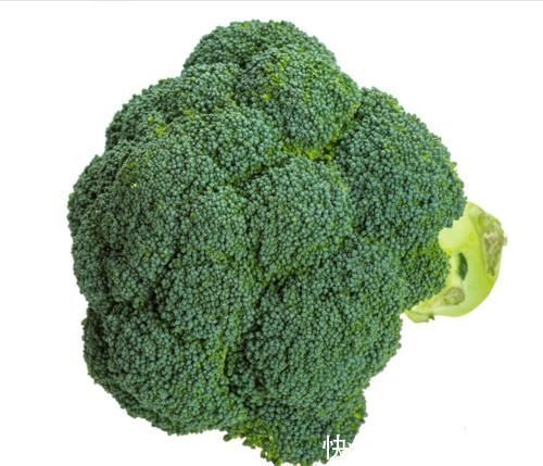 吸附性|清洗西兰花，只用清水就错了，教你2招，虫卵脏东西“自动”跑出来