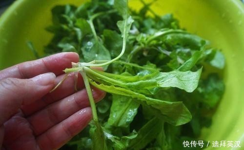 学会|冬天,记得多给家人喝此汤,暖胃养胃,营养极高,学会有口福了