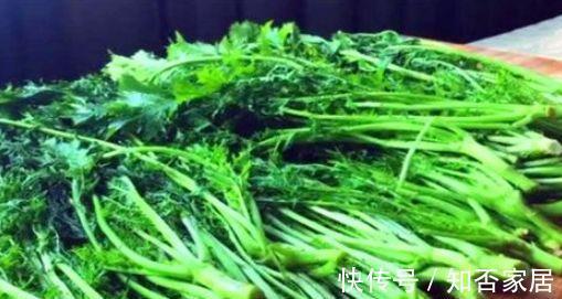 丑柑|女性爱美多吃的食物，排毒瘦身，调理气血，补肾养肝，谁吃谁好