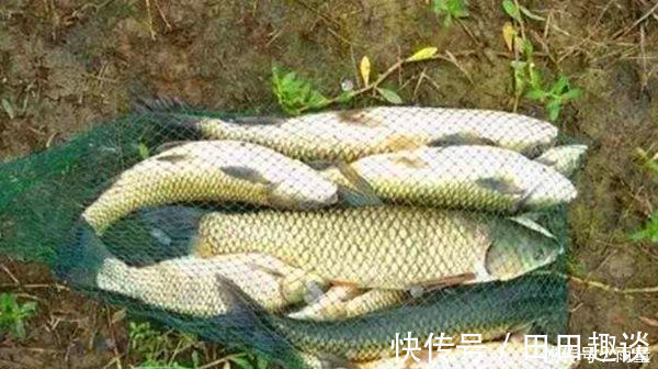 夏季手竿钓鲤鱼,这些钓点不容错过,找准了位置,大鲤鱼连竿上