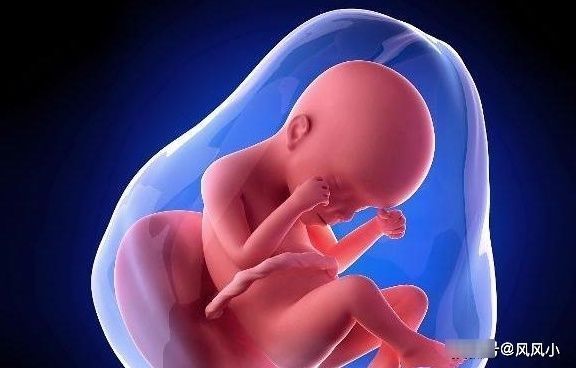 饮食|胎儿大小原来是和这几点有关，孕妈别再傻傻控制饮食了