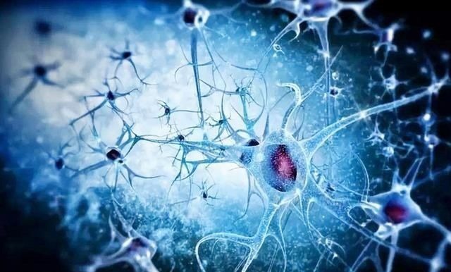 父母|美国神经生物学家:孩子大脑发育存在“黄金5年”,父母要把握住