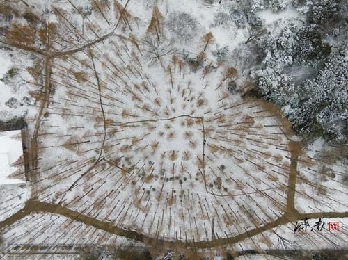 济南迎来降雪天气 变身“冰雪世界”