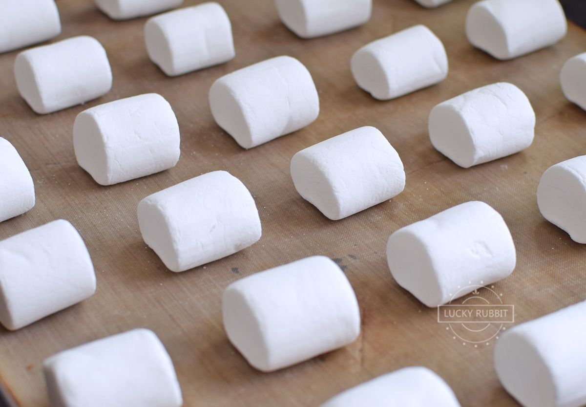 试做网红饼干，只需两种材料，又甜又脆，好吃到停不下来