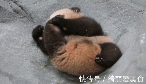 花生|每天一把花生,是升血压,还是降血压?今天一次说清楚