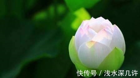 无思&易经:一个人,能定心无思,就可以激活无上的力量