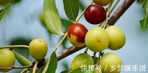 通便|便秘吃什么可以缓解？6种食物多吃点，润肠通便，赶走老便秘！