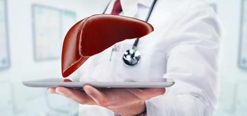 搭档|黄芪的“最佳搭档”揭秘,泡水喝,祛湿排寒,肝肾兴许“报答”你