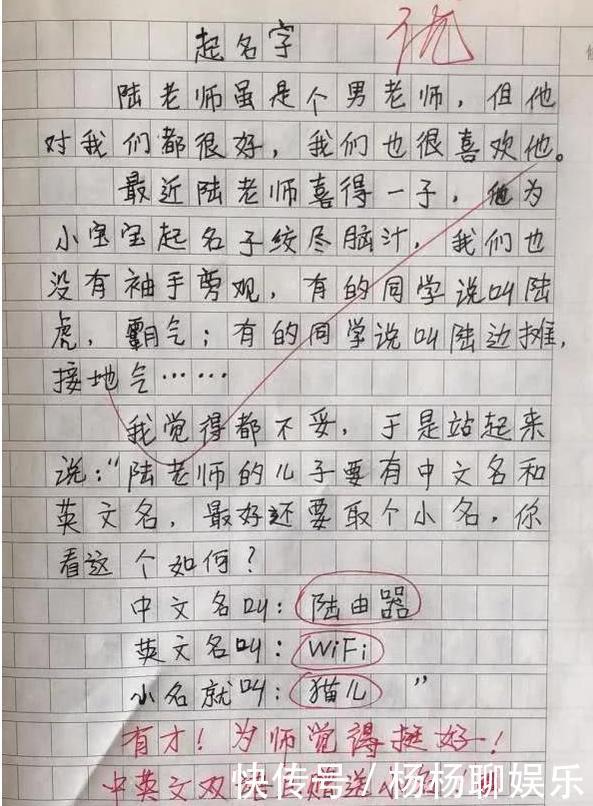 小学生满分作文《我的理想》走红,老师批语抢镜小心你同桌