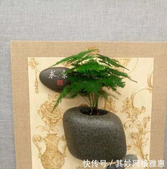 花友|大爷用石头来养花,越养越值钱,有人出1000块也不卖!