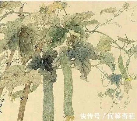 写意花鸟画！北京画院｜清清爽爽，陈福彬花鸟画