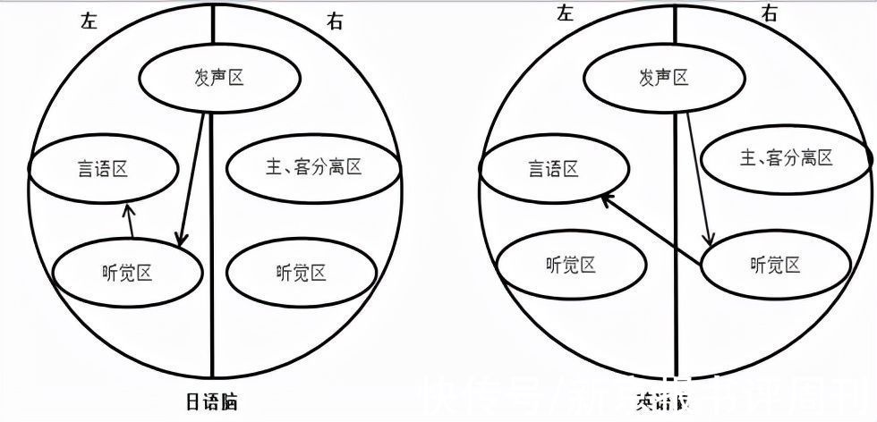 宾语|你的语文不好，可能真得怪体育老师……