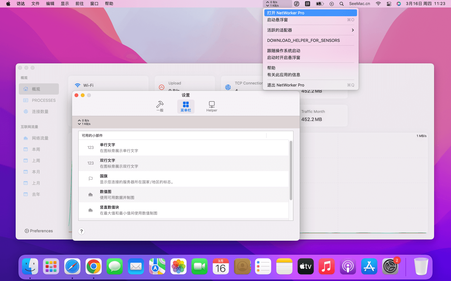 NetWorker Pro for Mac v8.6.2 MAS 网络流量监控-下载否