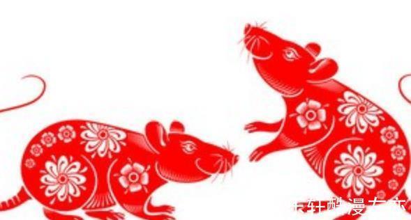 人际关系|一生注定有异性缘的生肖与出生月