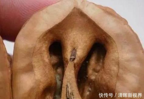 文玩核桃整个的很常见,但您见过切开来盘玩的吗