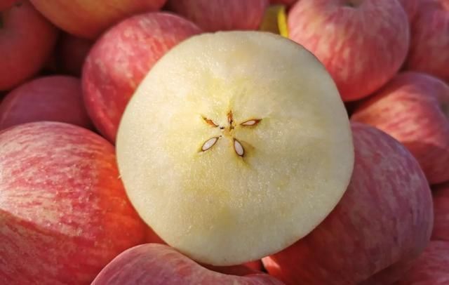 果肉|建议中老年人小暑前后,若条件允许,这5种水果每天可多吃一点