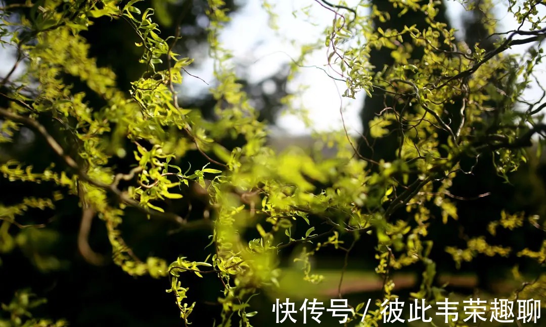 化妆品|日常如何安全、合法的刷酸